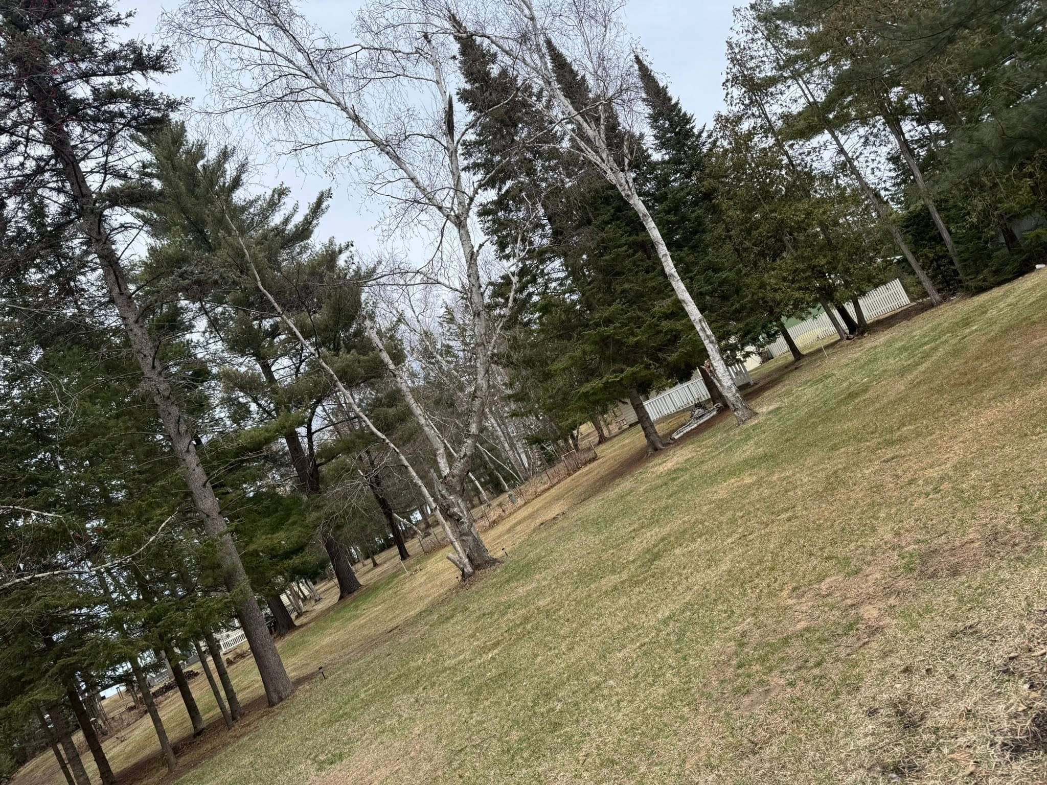 492409096_122177725802318407_6147433872620126631_n