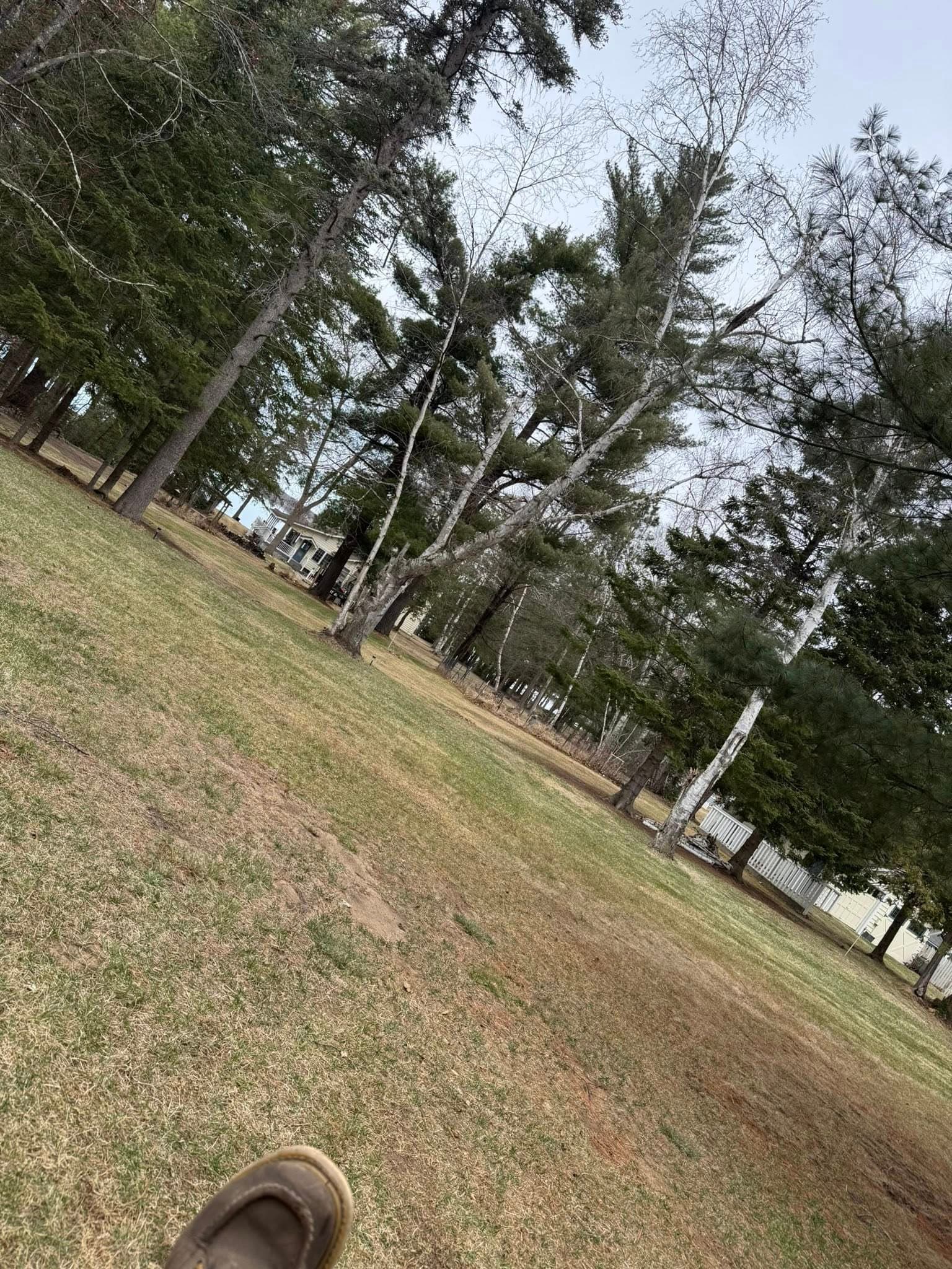 492452406_122177725790318407_644554003132790985_n