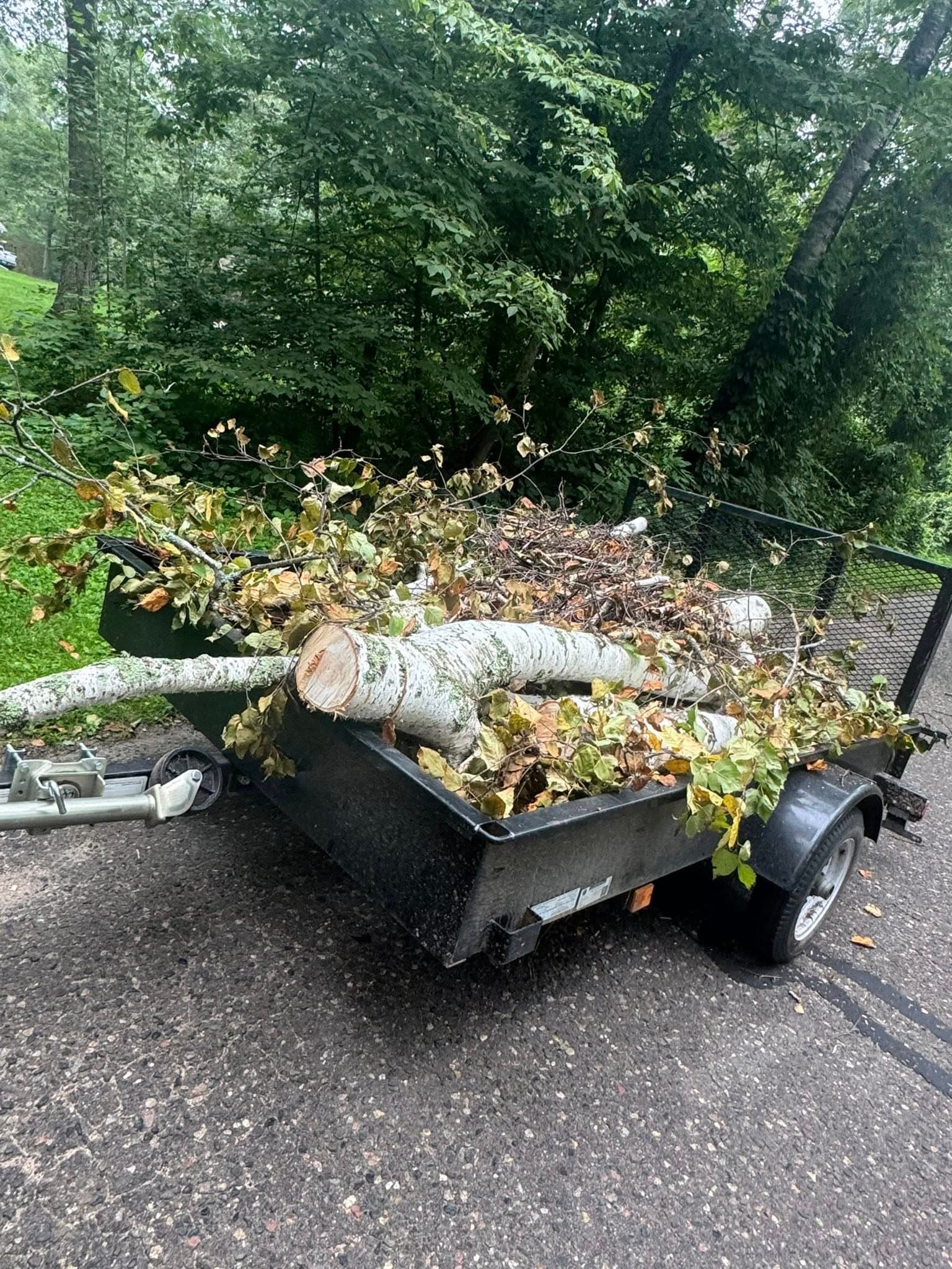 Tree & Stump Removal